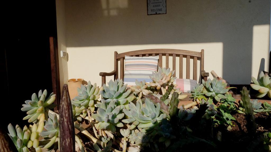 B&B Le Rose Siderno Екстер'єр фото